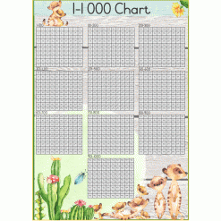 Alternative view of 1-1 000 counting block -Meerkat