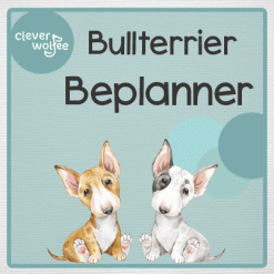Beplanningspakket - Bullterriers
