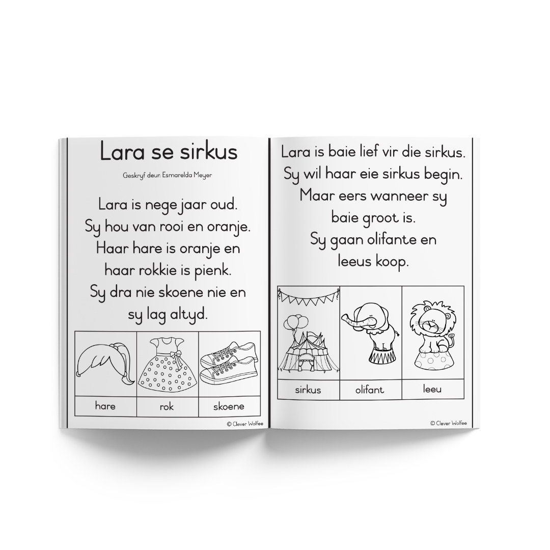 Graad 3 Jaarpakket Special - Image 69