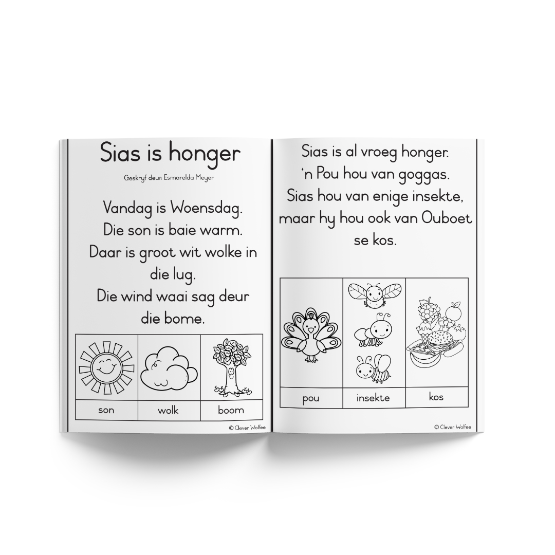 Graad 3 Jaarpakket Special - Image 70