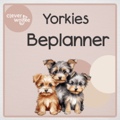 Beplanningspakket - Yorkies