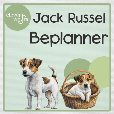 Beplanningspakket - Jack Russel
