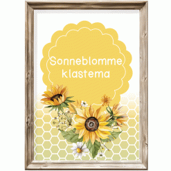 Klastema - sonneblomme
