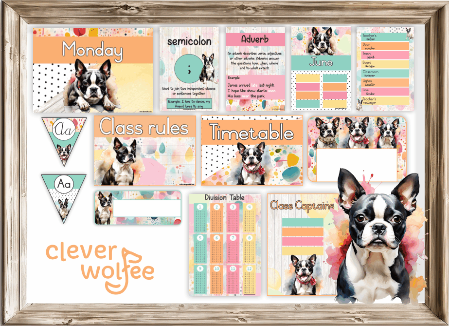 Intermediate Class Theme - Boston Terrier - Image 2
