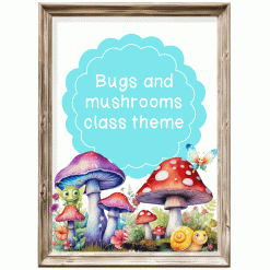 Class theme - Bugs and mushrooms