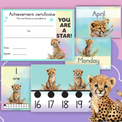 Alternative view of Cheetah class theme - Preschool