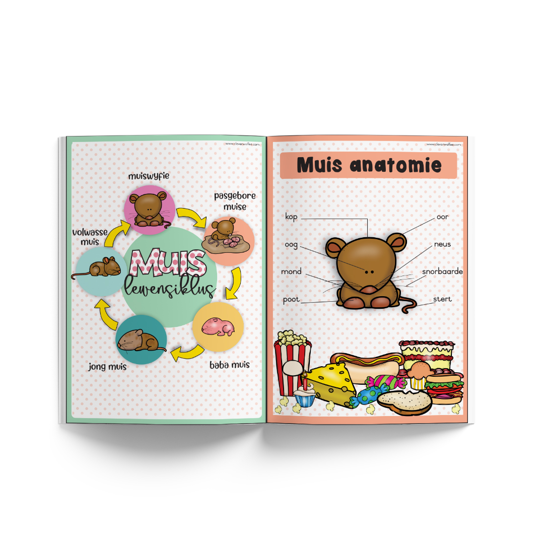 Tema boekie - Lewensiklus: Muis - Image 2