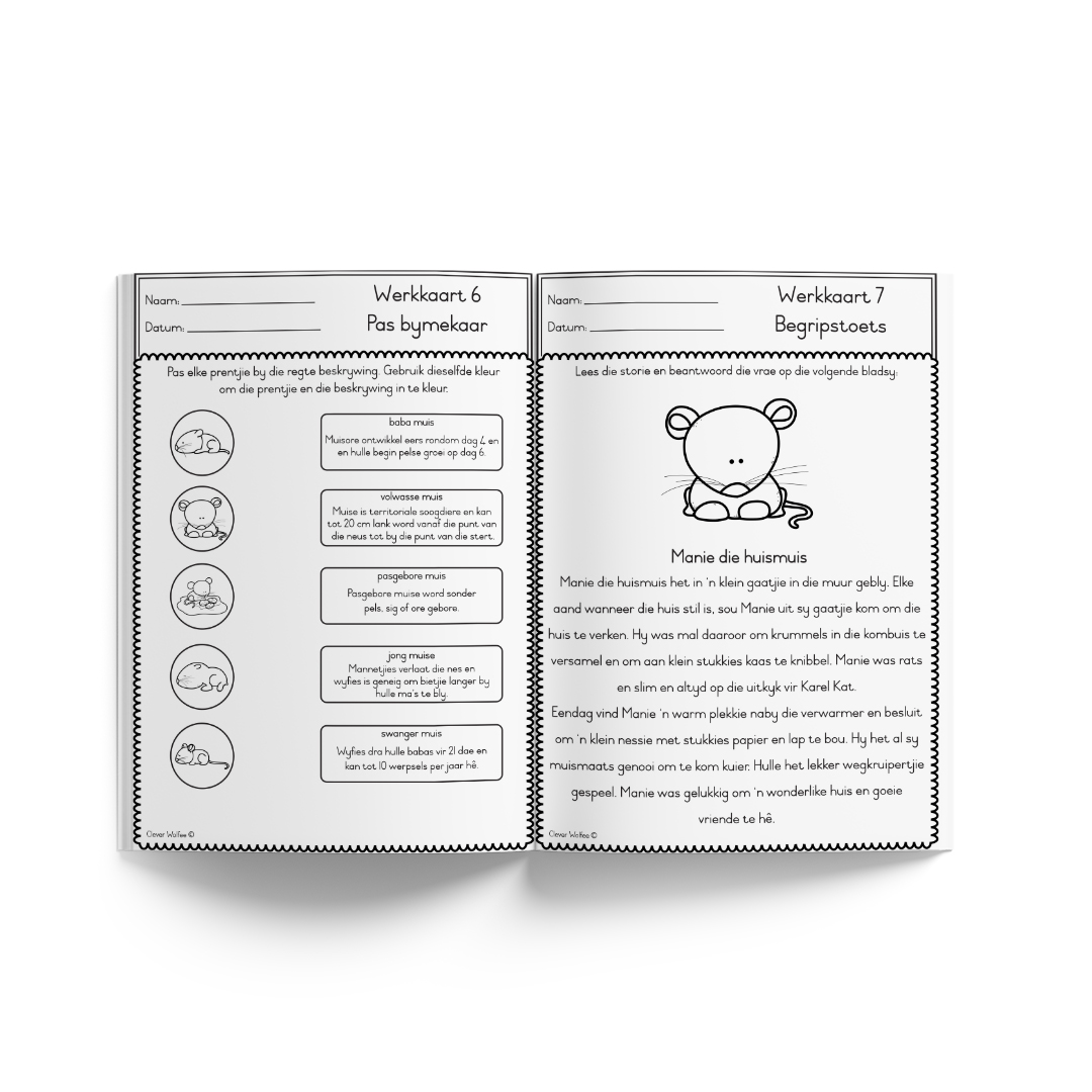 Tema boekie - Lewensiklus: Muis - Image 3