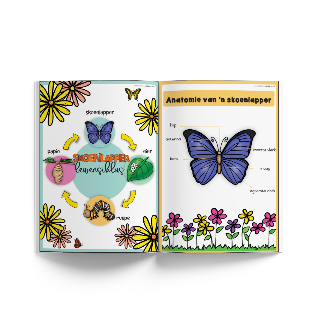 Tema boekie - Lewensiklus: Skoenlapper - Image 2