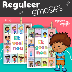 Leer om emosies self te reguleer