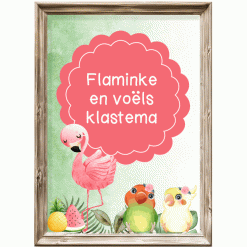 Klastema - Pastel flaminke en tropiese voëls