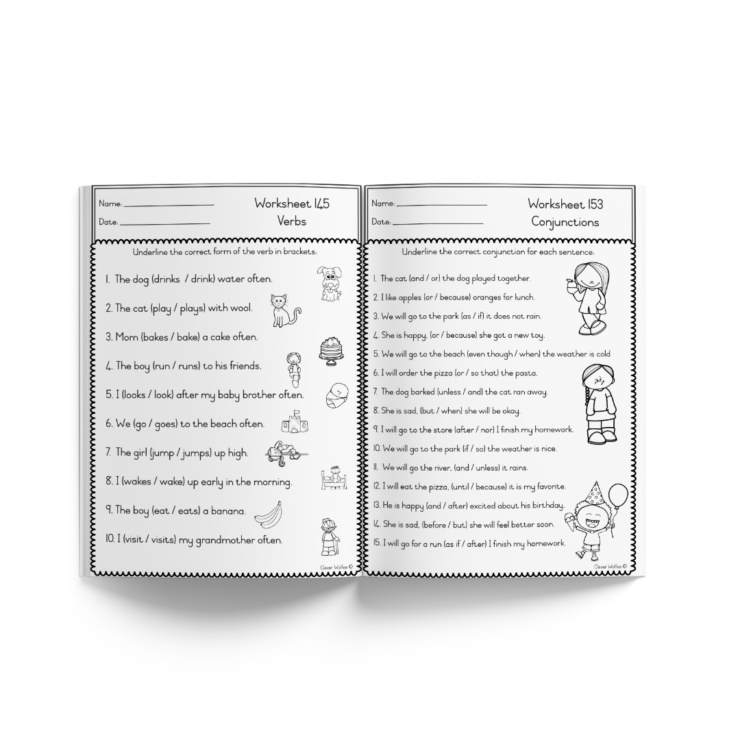 Grade 3 Year bundle - Image 23