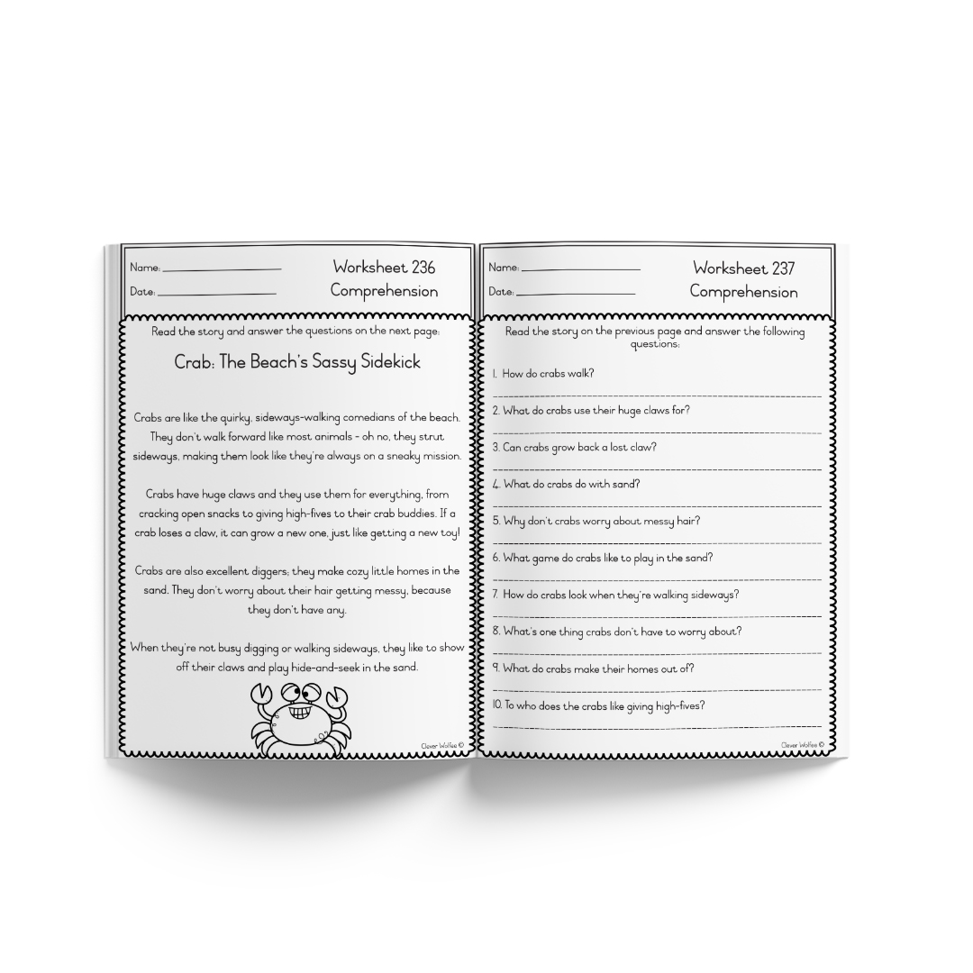 Grade 3 Year bundle - Image 26