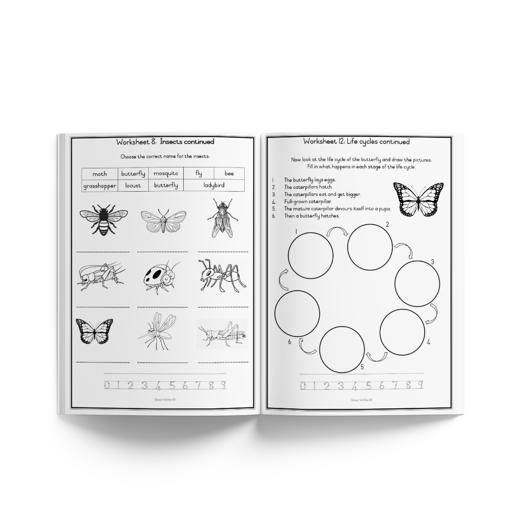 Grade 3 Year bundle - Image 53