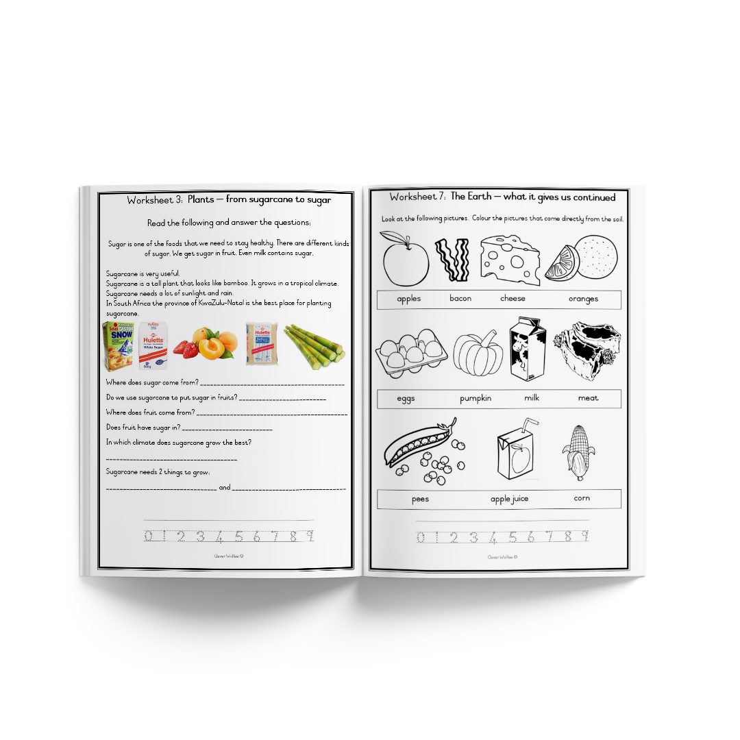 Grade 3 Year bundle - Image 58