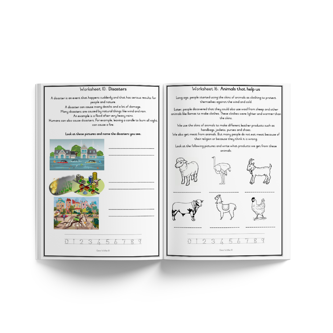 Grade 3 Year bundle - Image 59