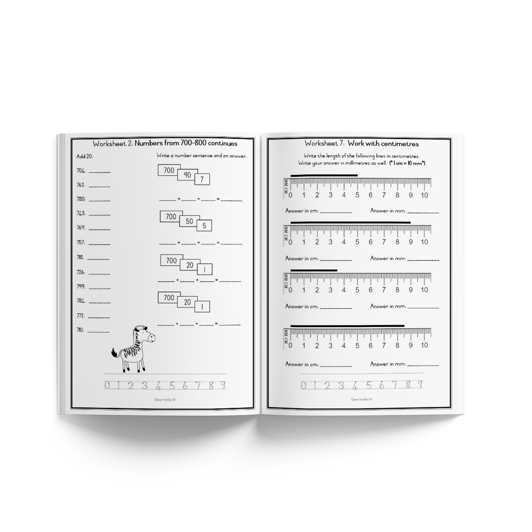 Grade 3 Year bundle - Image 46