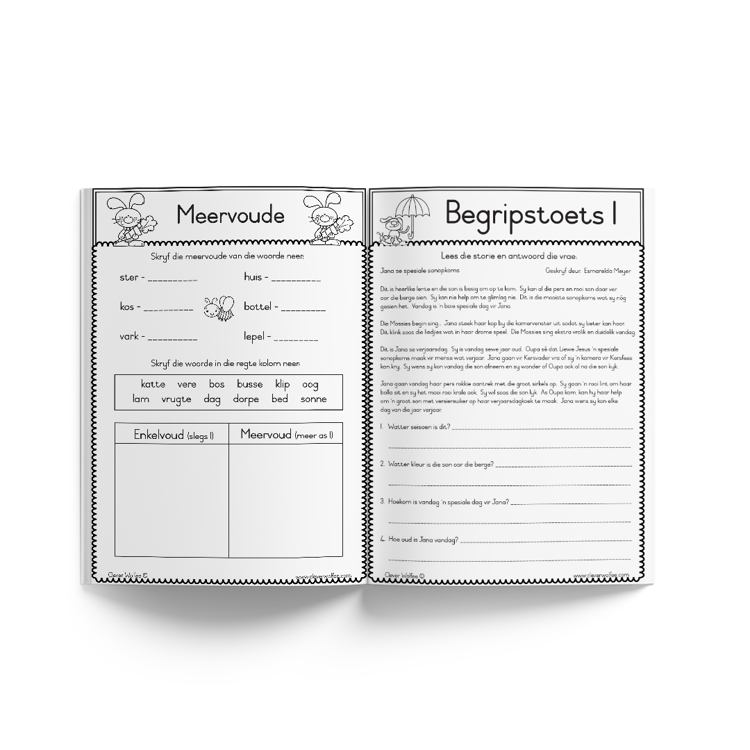 Gr. 1, 2 en 3 Ondersteuning boekies - Taal pakket - Image 13