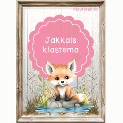 Woud: Jakkals Klastema - Kleuterskool