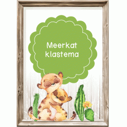 Klastema - meerkat