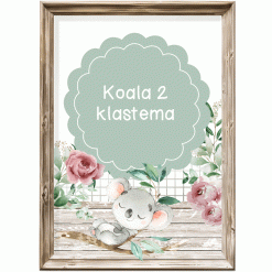 Klastema - koala bere 2