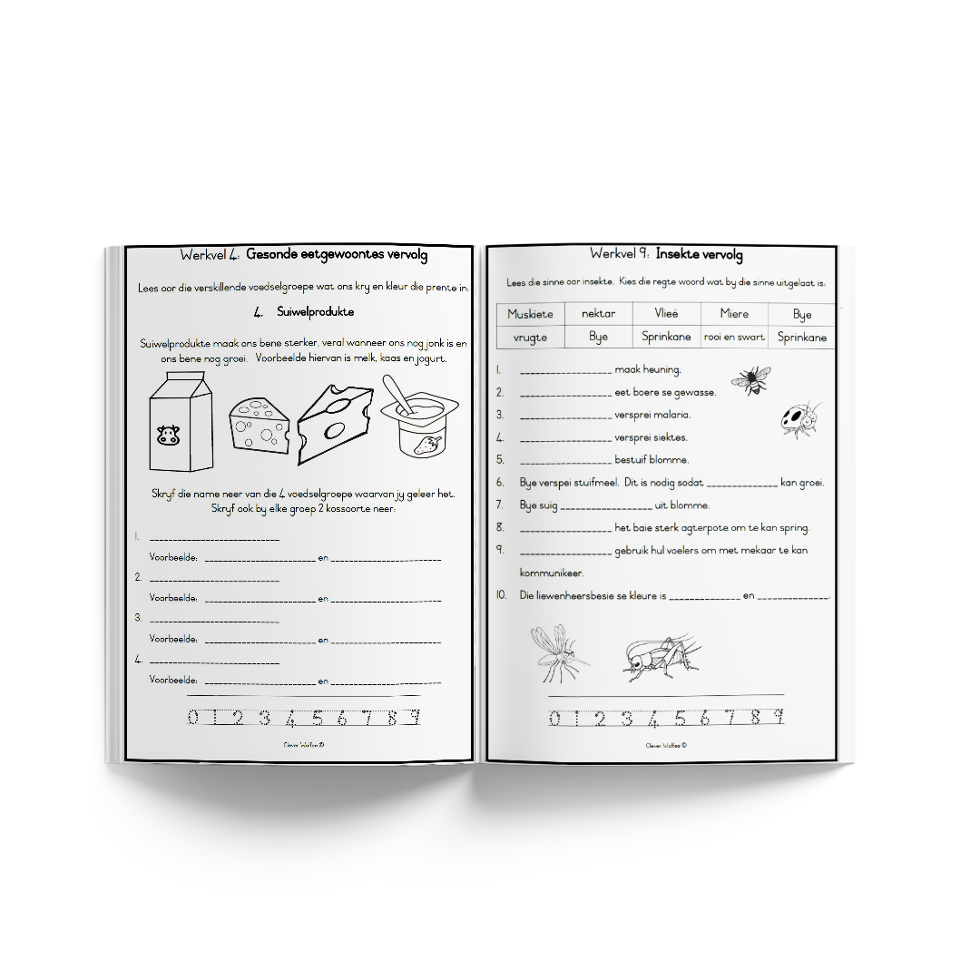 Graad 3 Jaarpakket Special - Image 30