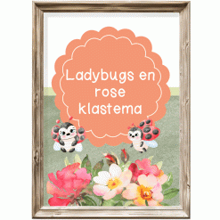 Klastema - ladybugs en rose