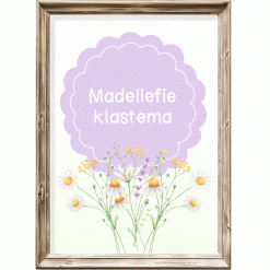 Klastema - madeliefie