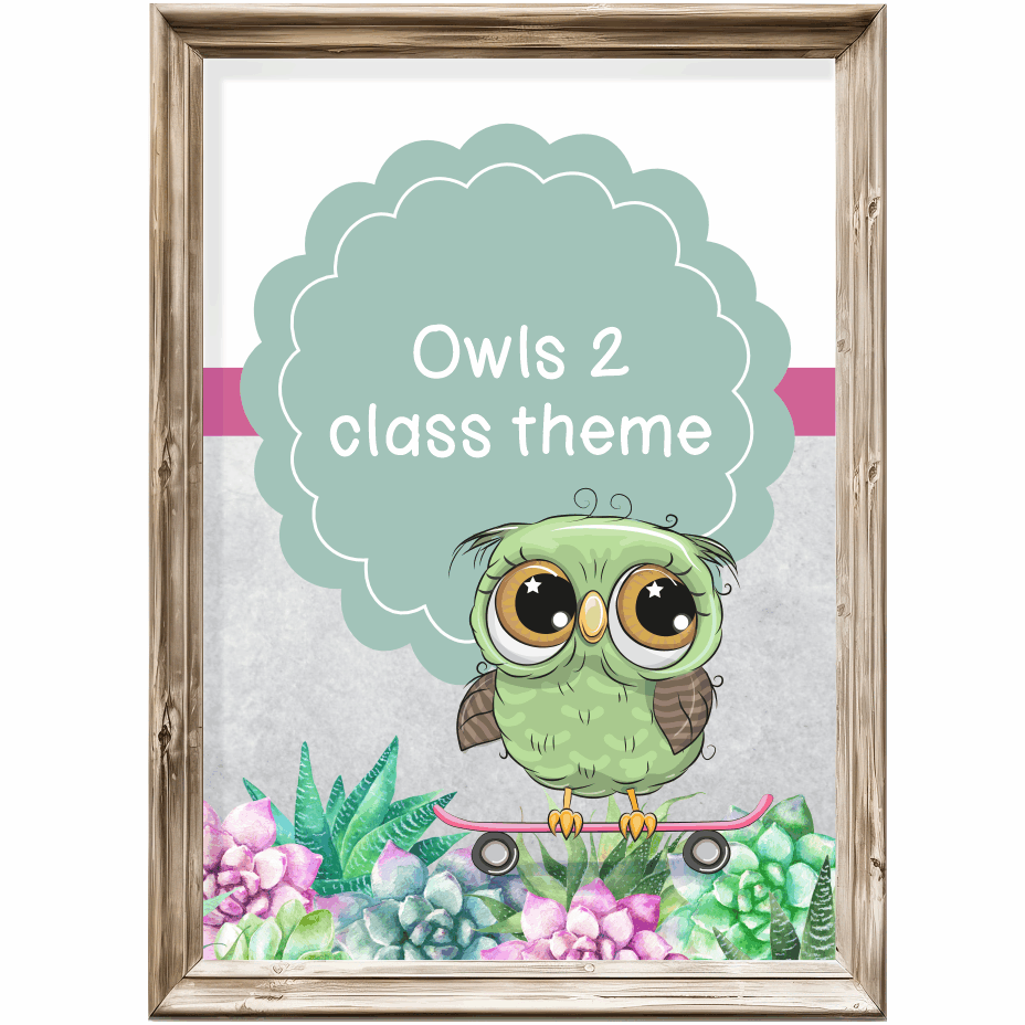 Class theme - owls 2