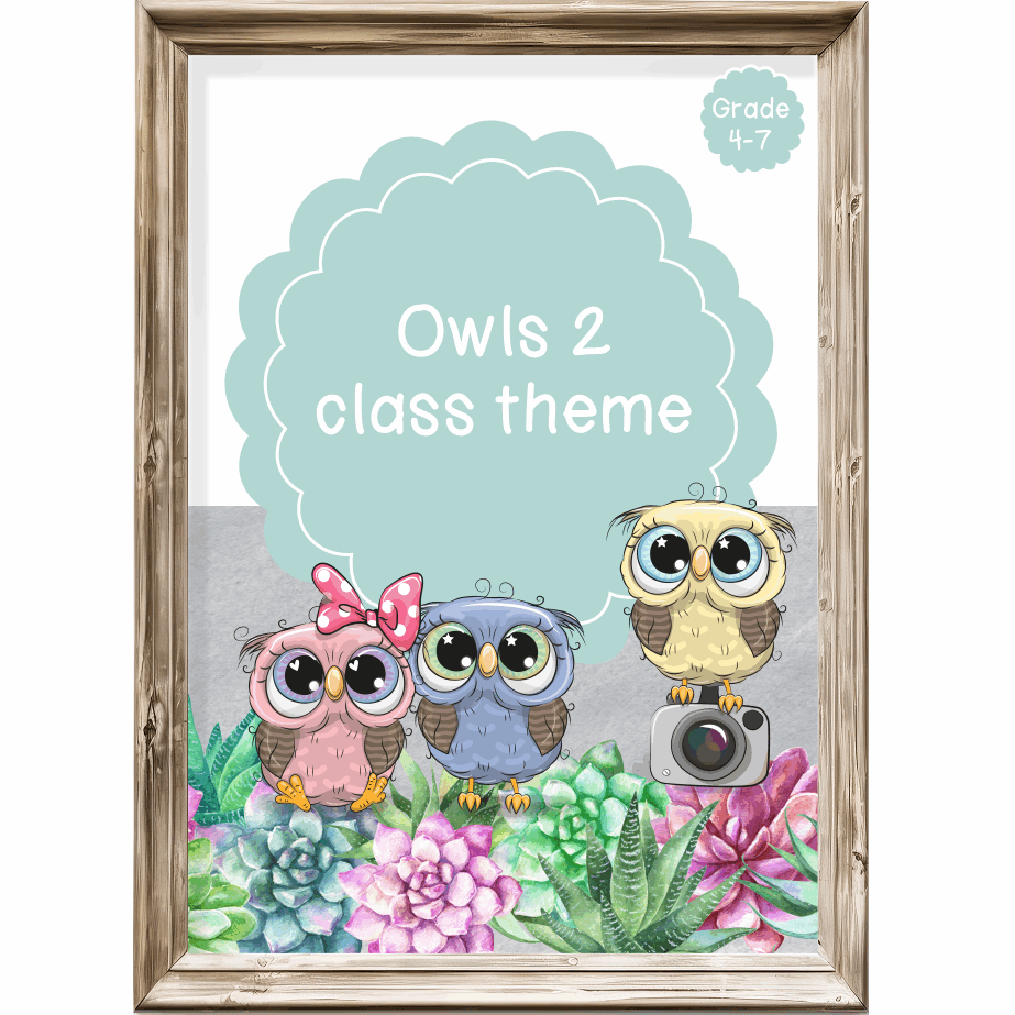 Intermediate Class Theme - Owls 2