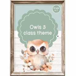 Intermediate Class Theme - Owls 3
