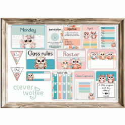 Alternative view of Intermediate Class Theme - Owls 3