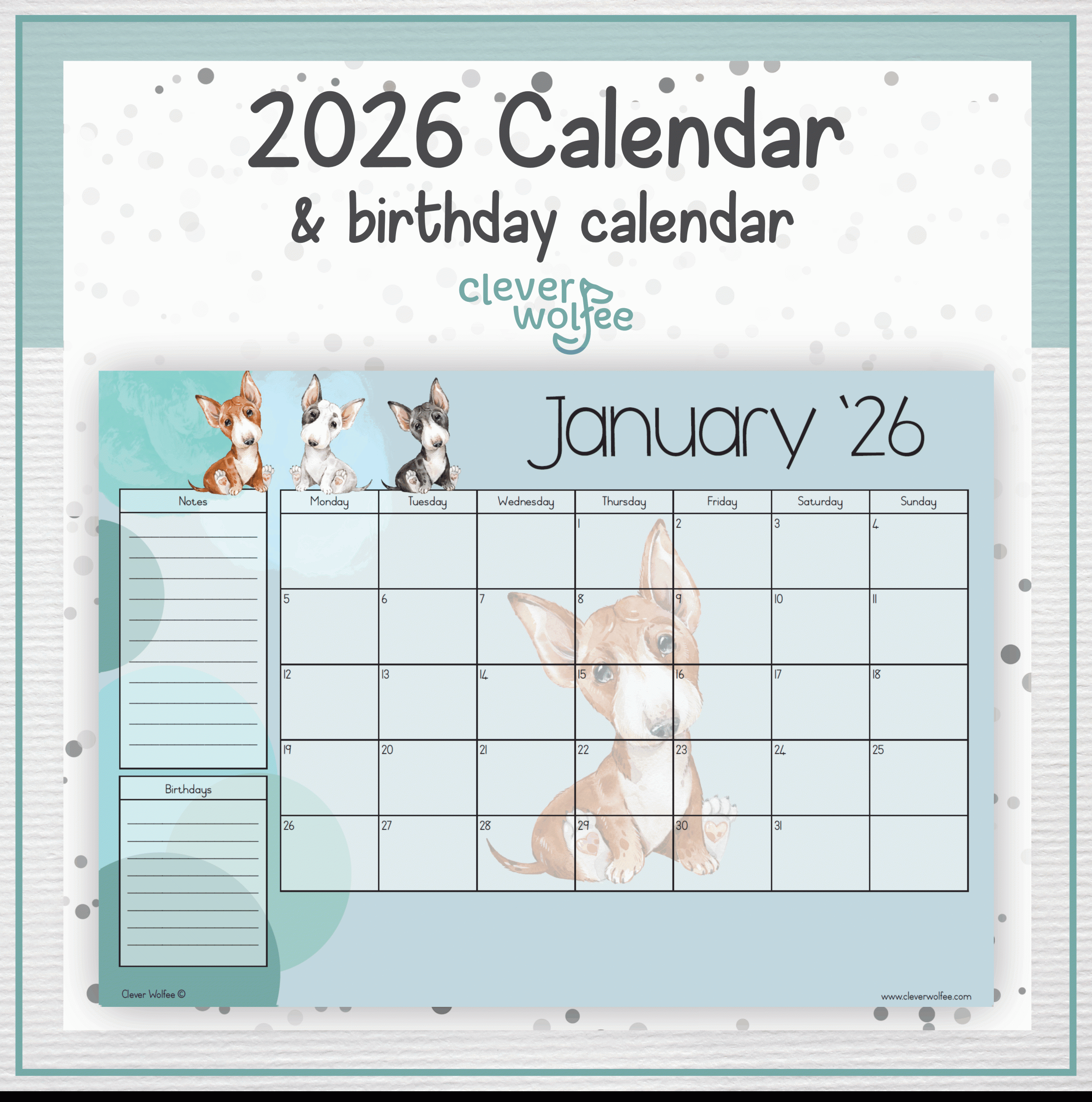 Bull Terriers calendar 2026