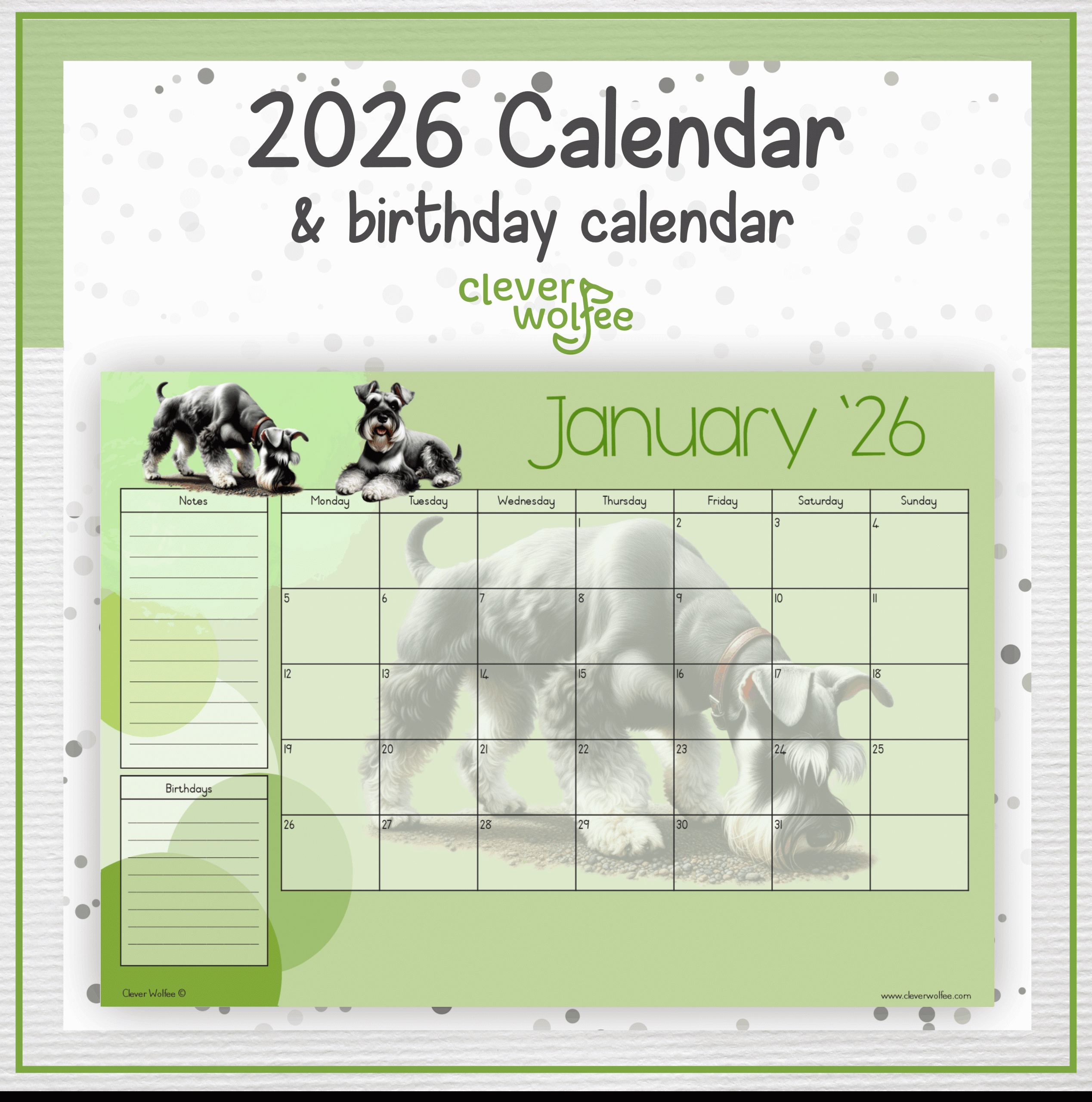 Miniature Schnauzers calendar 2026