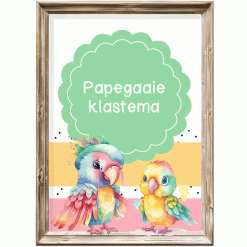 Klastema - papegaaie