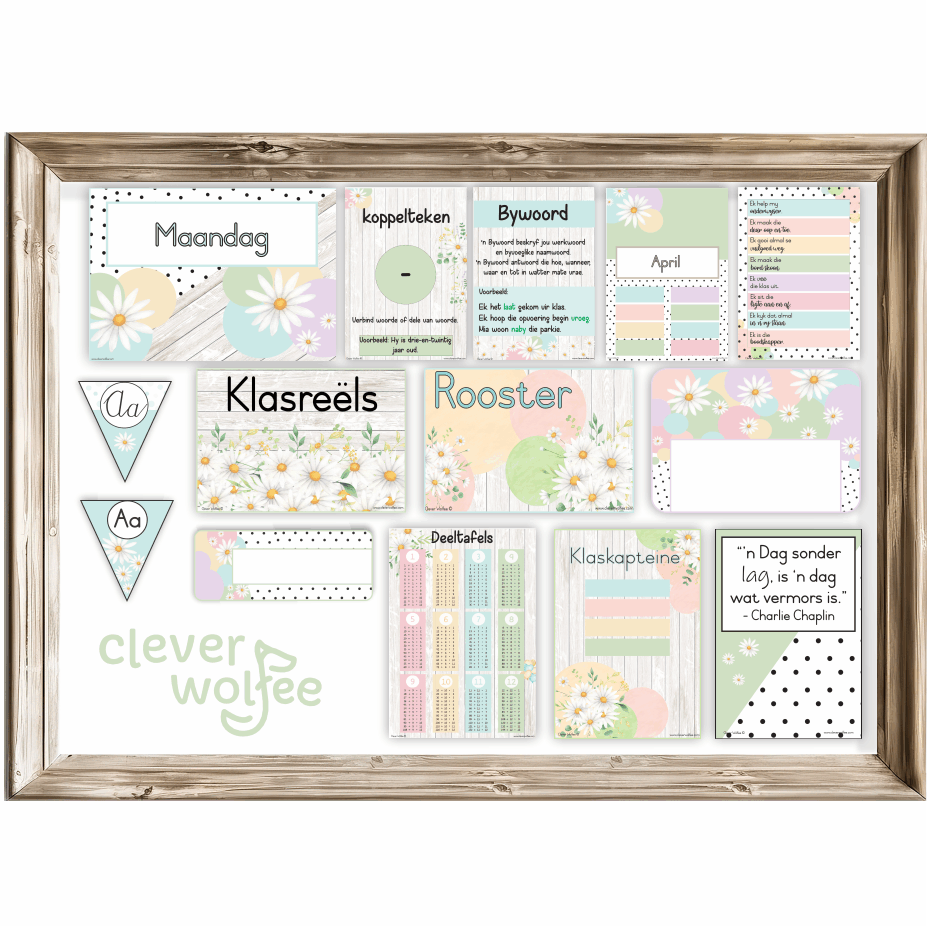 Intermediêre Klastema - Pastel Madeliefies - Image 2