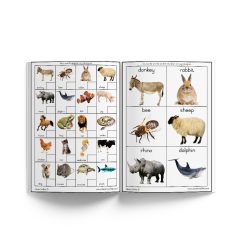 Alternative view of Play SNAP and learn about animals