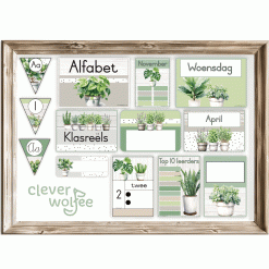 Alternative view of Klastema - potplante