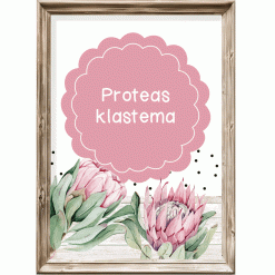 Klastema - proteas