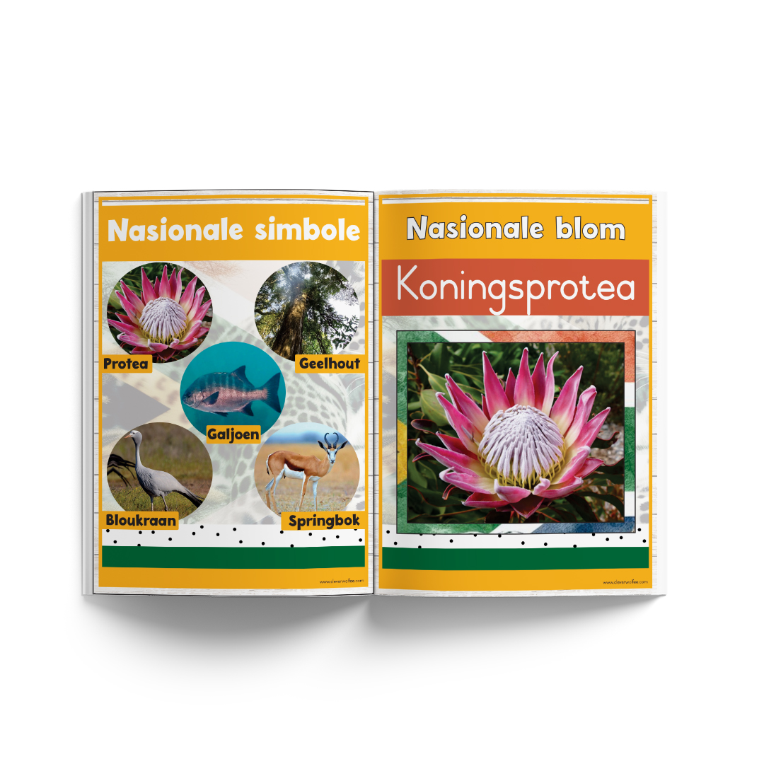 Suid-Afrika plakkate Bundel - Image 3