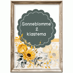 Klastema - Sonneblomme 2