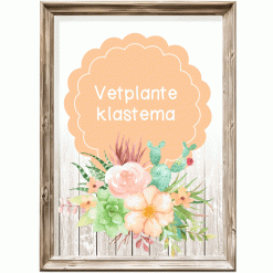 Klastema - vetplante