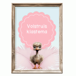 Klastema - Volstruis