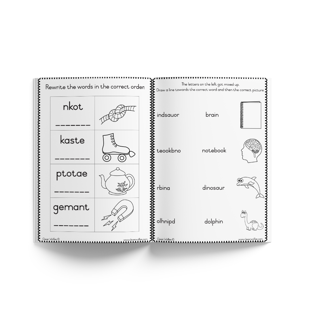 Grade 3 Year bundle - Image 31