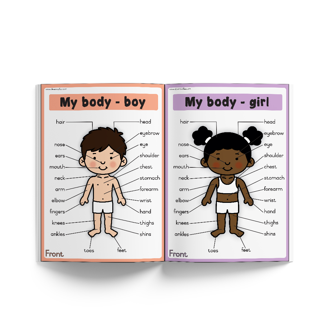 Themed book - My basic human anatomy book - Image 2