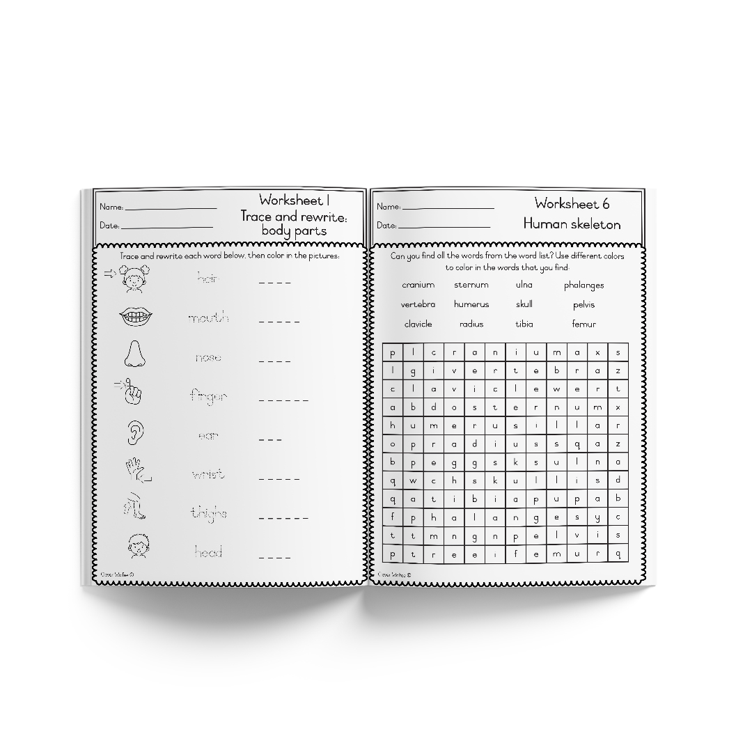 Themed book - My basic human anatomy book - Image 4