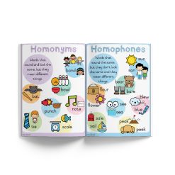 Alternative view of English Posters - Homonyms and Homophones