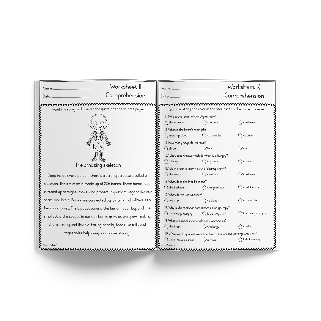 Themed book - My basic human anatomy book - Image 5
