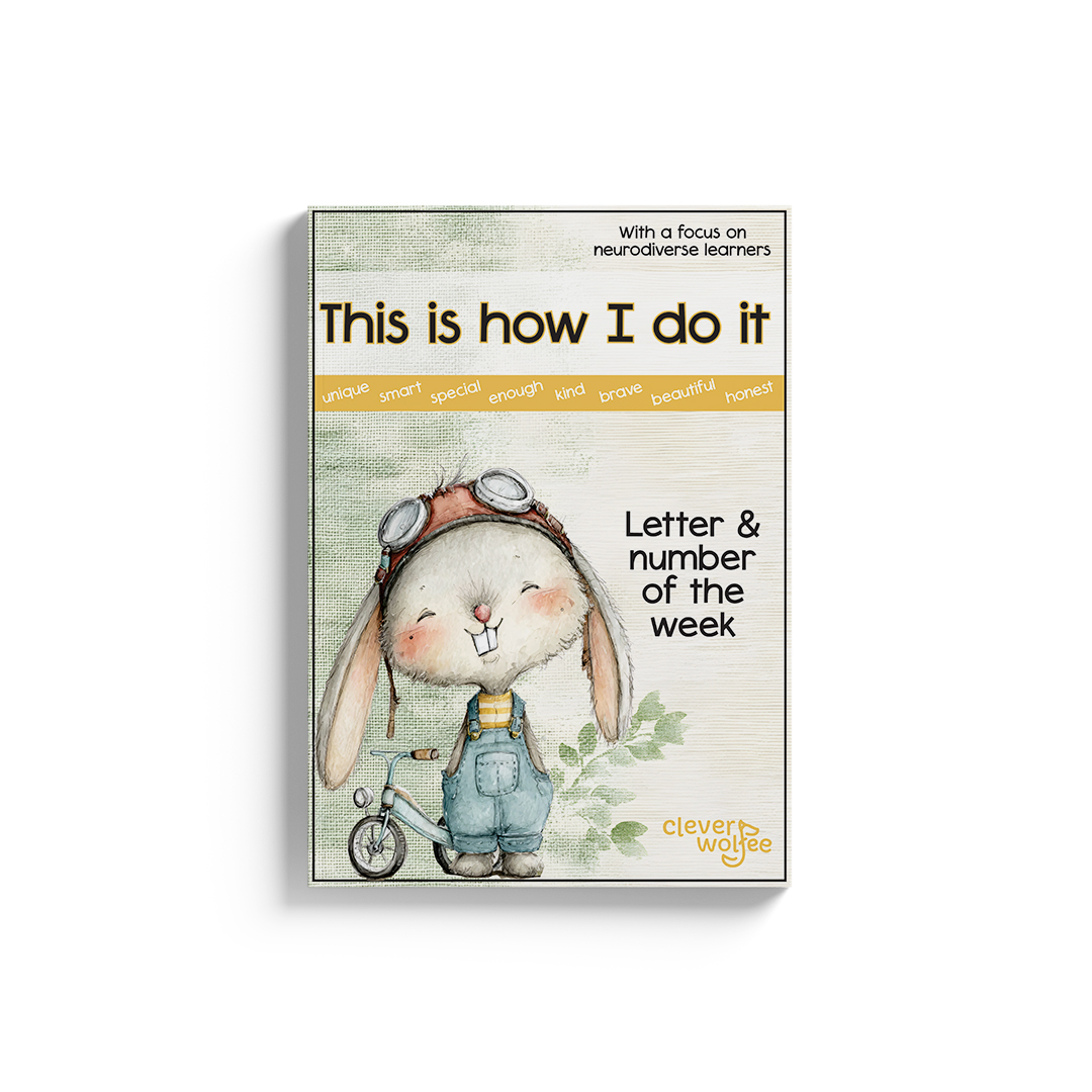 Neurodiverse booklets - This is how I do it - BUNDLE 1 - Image 35