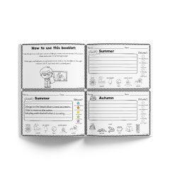 Alternative view of Sentence cards for beginners